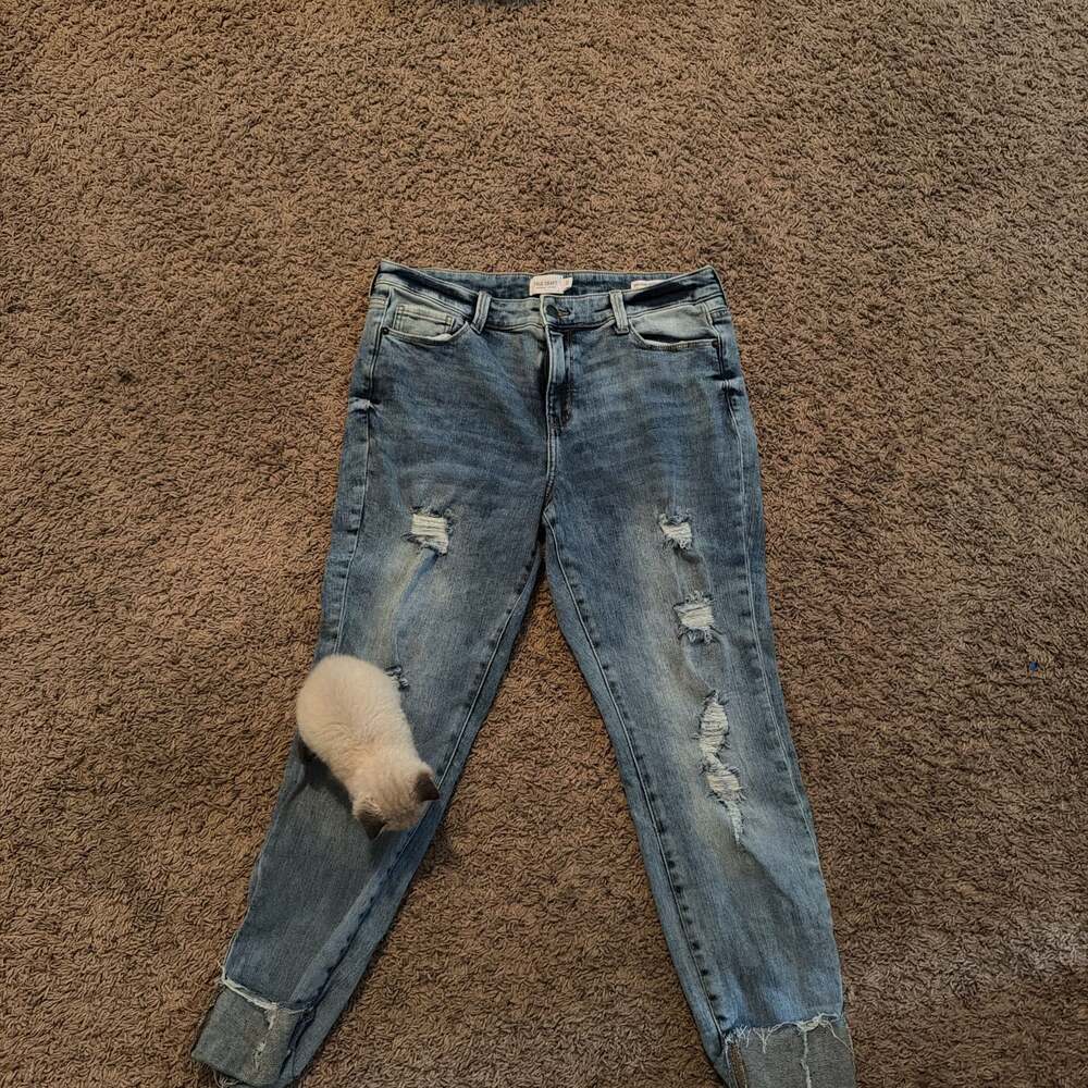 Judy Blue Women's 16W Blue Boyfriend High Rise Medium Distressed Jeans
